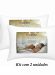 travesseiro percal antialérgico 180 fios 50x70cm kit duas unidades dyanjo